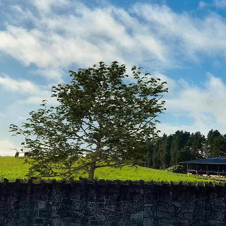 شقة Modern Country Charm Apartment.