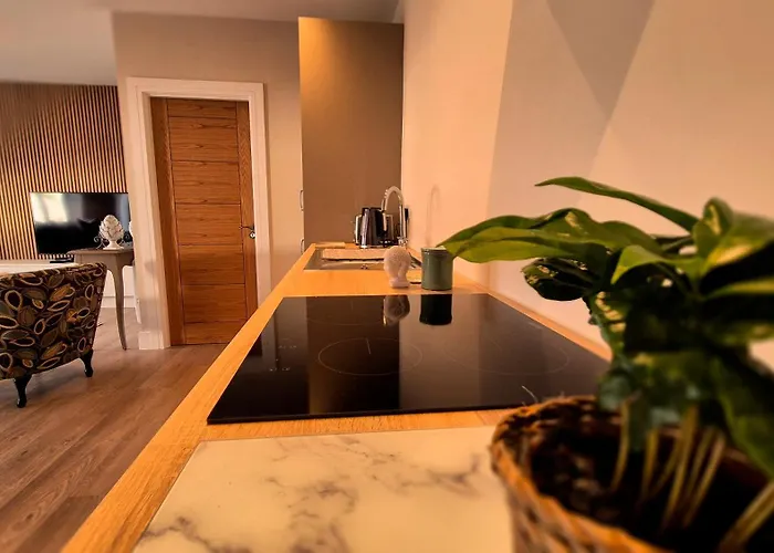 Modern Country Charm Apartment.