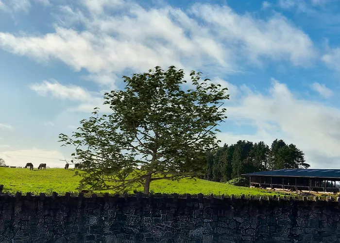 Apartamento Modern Country Charm Apartment.